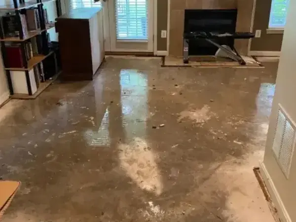 Standing water across a living room floor before extraction