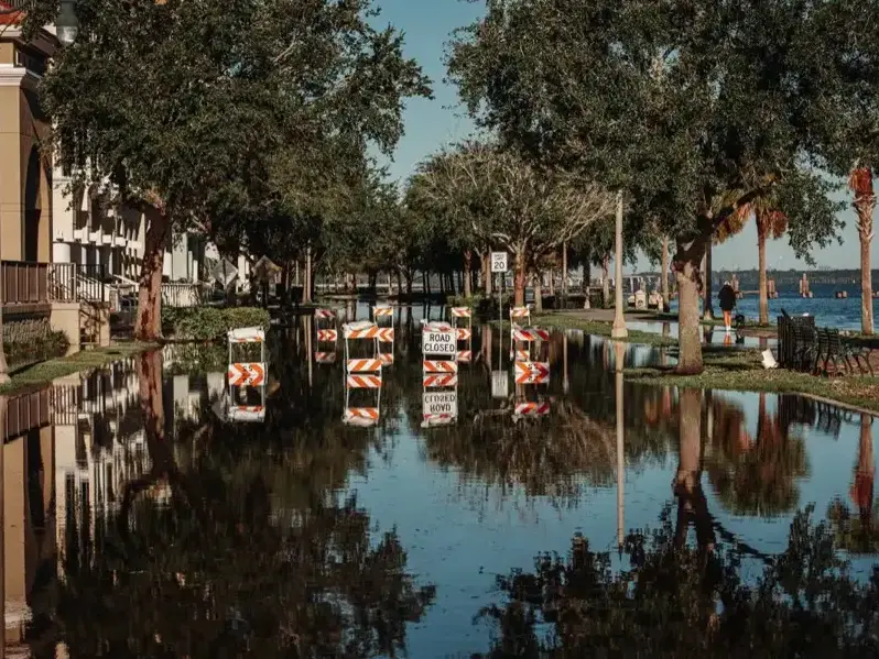 Floodwater covering a bayfront street lined with palms and oaks after a Tampa Bay storm