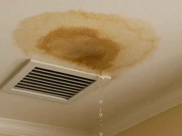 Ceiling stain and dripping water beside an AC supply vent from a clogged condensate drain