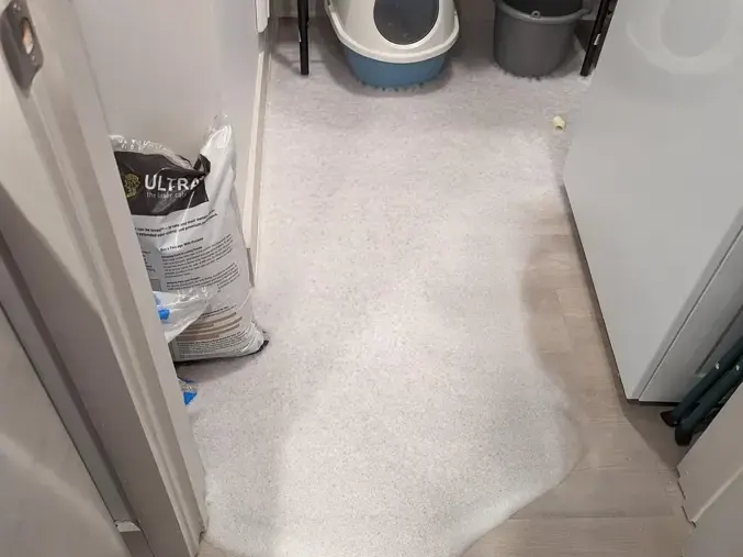 Soapy water running across a laundry room floor from a failed washer hose